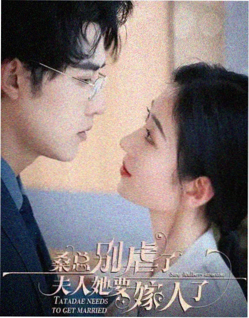 有你的时光里全集免费完整版 收视率创新高